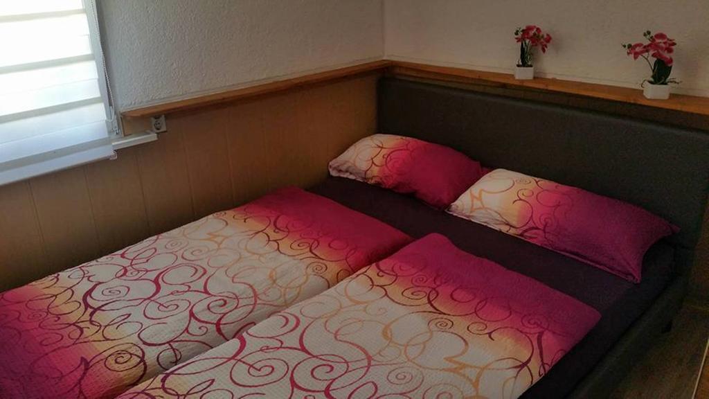 Haus Hazienda Briedel Εξωτερικό φωτογραφία